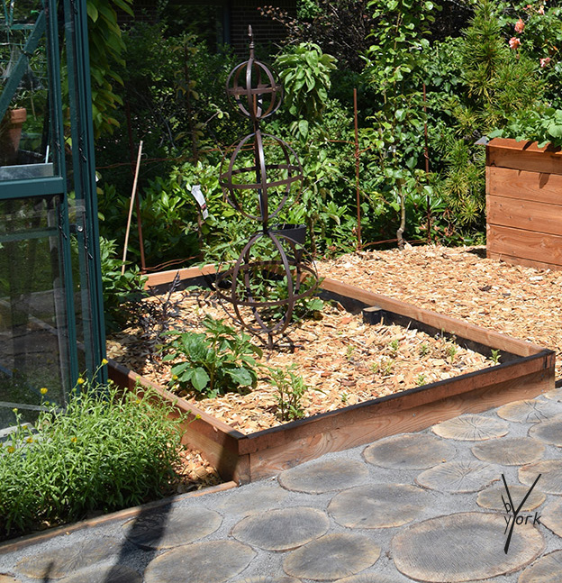 Dahlia bed